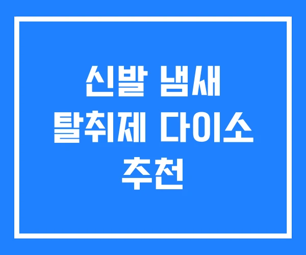 신발 냄새 탈취제 다이소 추천