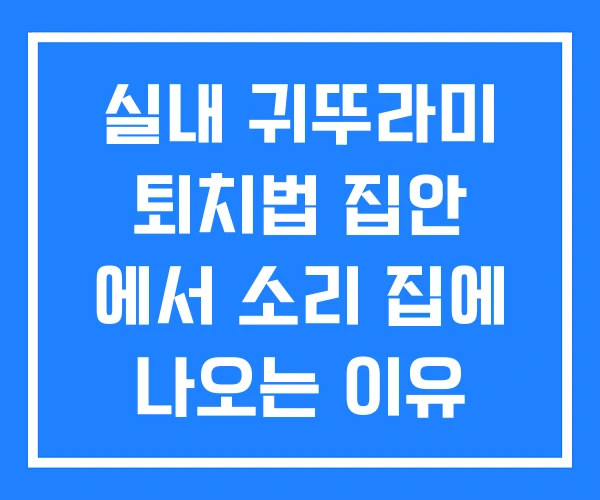 실내 귀뚜라미 퇴치법 집안 에서 소리 집에 나오는 이유