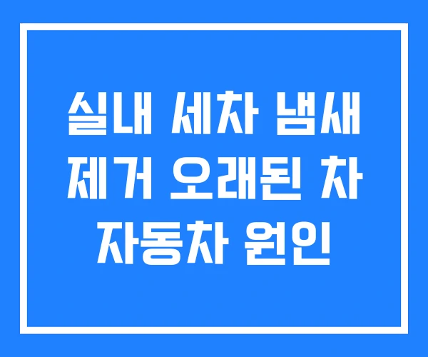 실내 세차 냄새 제거 오래된 차 자동차 원인