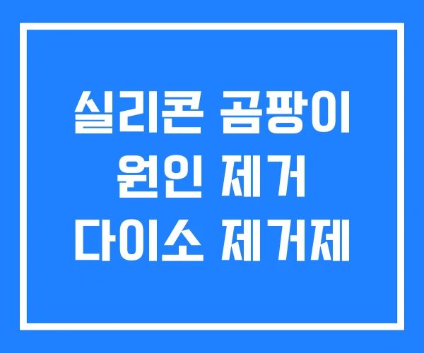 실리콘 곰팡이 원인 제거 다이소 제거제