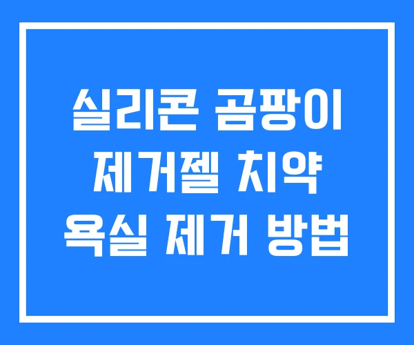 실리콘 곰팡이 제거젤 치약 욕실 제거 방법 실리콘 곰팡이 제거젤 치약 욕실 제거 방법