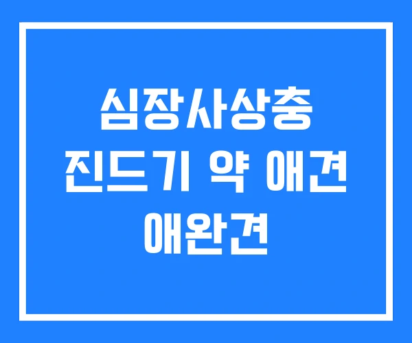 심장사상충 진드기 약 애견 애완견 심장사상충 진드기 약 애견 애완견