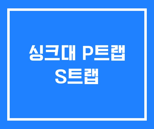 싱크대 P트랩 S트랩