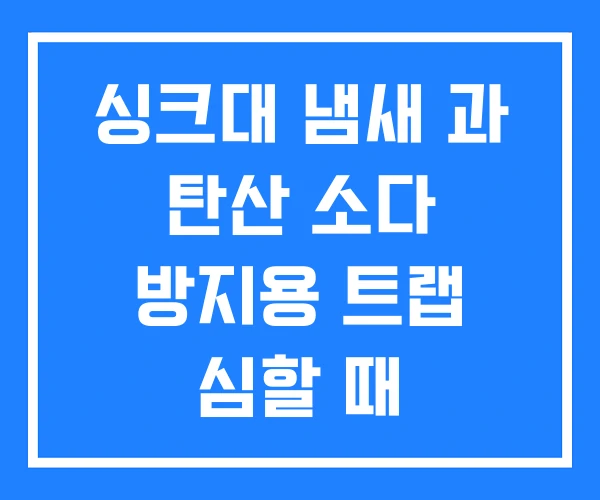 싱크대 냄새 과 탄산 소다 방지용 트랩 심할 때