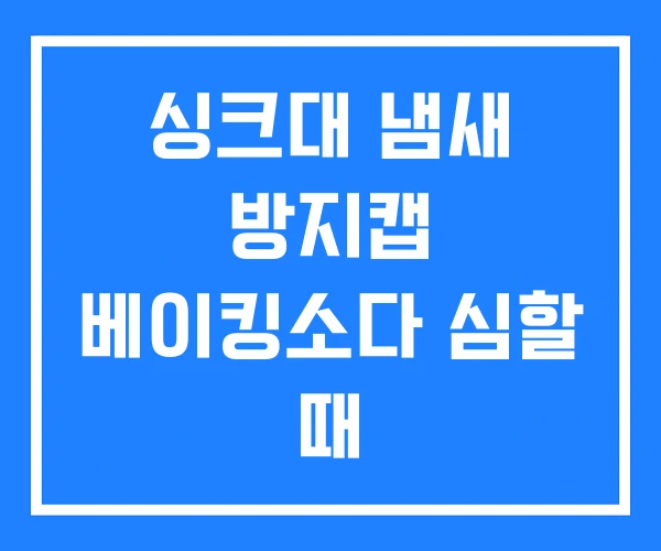 싱크대 냄새 방지캡 베이킹소다 심할 때 싱크대 냄새 방지캡 베이킹소다 심할 때