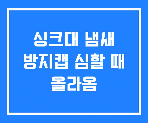싱크대 냄새 방지캡 심할 때 올라옴 싱크대 냄새 방지캡 심할 때 올라옴