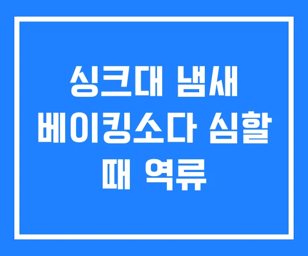 싱크대 냄새 베이킹소다 심할 때 역류 싱크대 냄새 베이킹소다 심할 때 역류