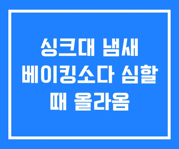 싱크대 냄새 베이킹소다 심할 때 올라옴