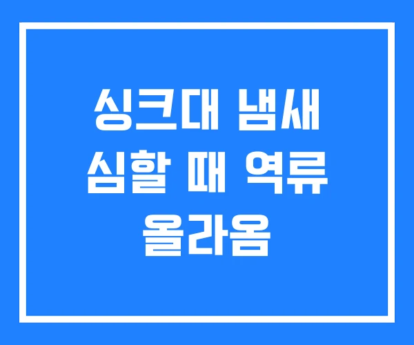 싱크대 냄새 심할 때 역류 올라옴