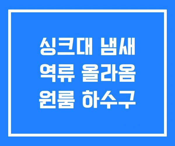 싱크대 냄새 역류 올라옴 원룸 하수구 싱크대 냄새 역류 올라옴 원룸 하수구