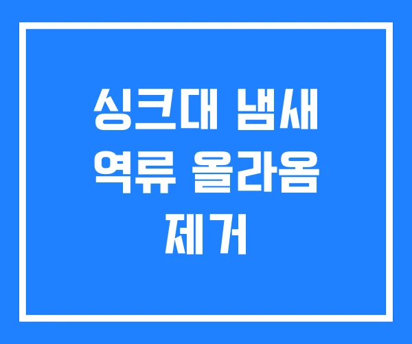 싱크대 냄새 역류 올라옴 제거 싱크대 냄새 역류 올라옴 제거