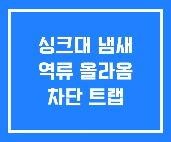싱크대 냄새 역류 올라옴 차단 트랩