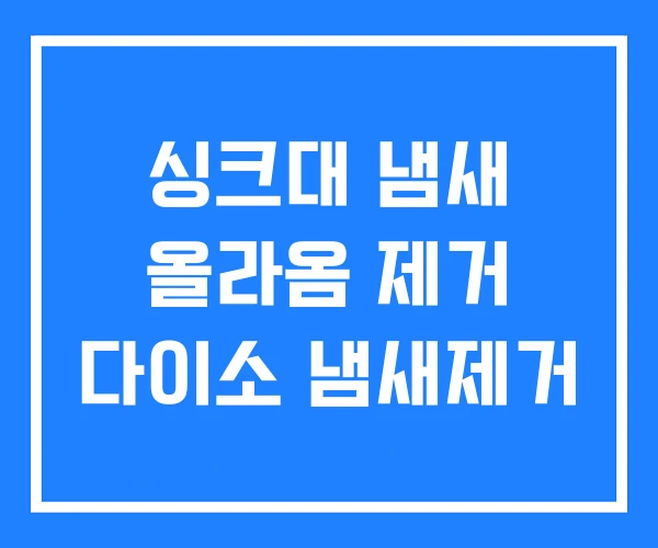 싱크대 냄새 올라옴 제거 다이소 냄새제거