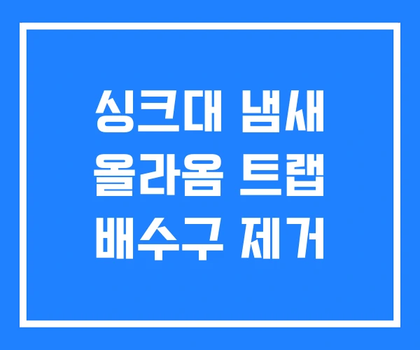 싱크대 냄새 올라옴 트랩 배수구 제거