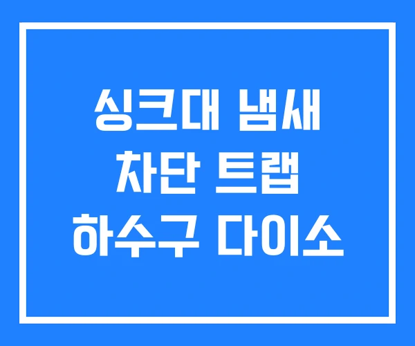 싱크대 냄새 차단 트랩 하수구 다이소 싱크대 냄새 차단 트랩 하수구 다이소