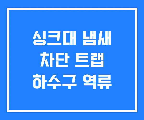 싱크대 냄새 차단 트랩 하수구 역류 싱크대 냄새 차단 트랩 하수구 역류