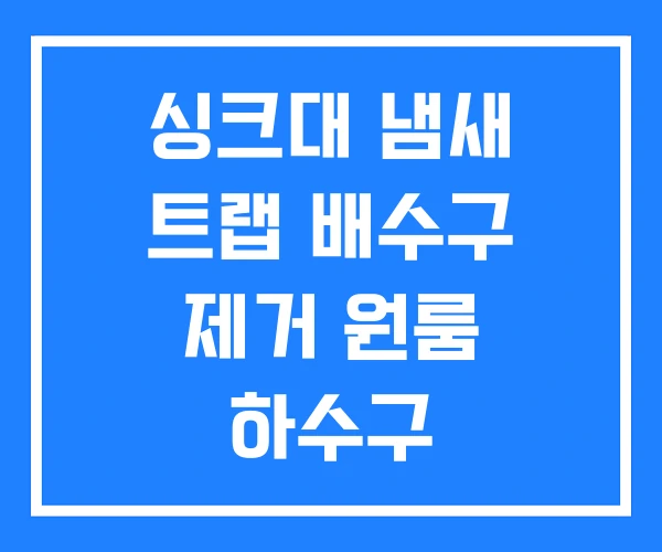 싱크대 냄새 트랩 배수구 제거 원룸 하수구