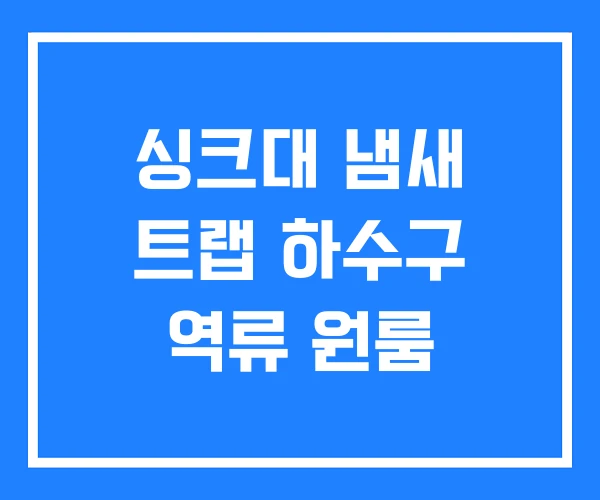 싱크대 냄새 트랩 하수구 역류 원룸 싱크대 냄새 트랩 하수구 역류 원룸