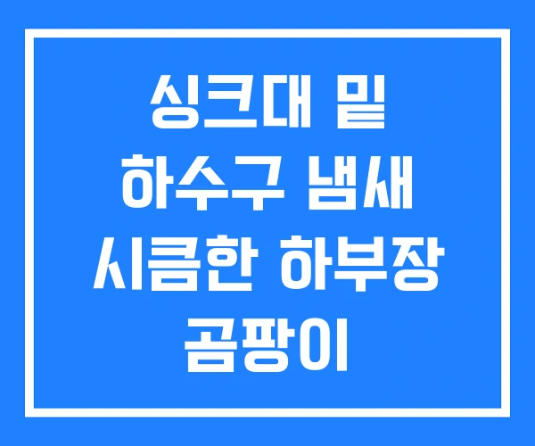 싱크대 밑 하수구 냄새 시큼한 하부장 곰팡이