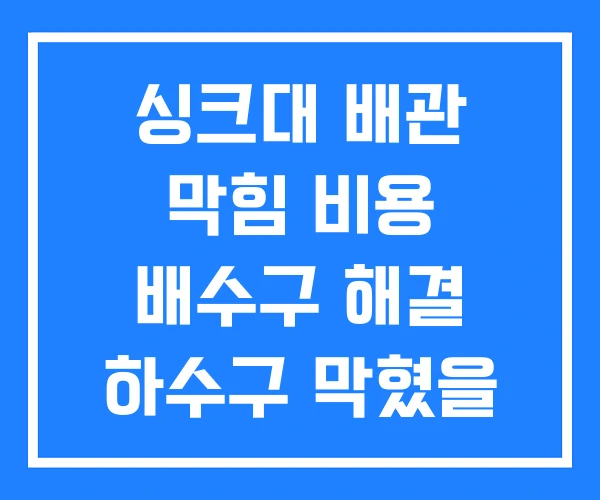 싱크대 배관 막힘 비용 배수구 해결 하수구 막혔을 때 싱크대 배관 막힘 비용 배수구 해결 하수구 막혔을 때