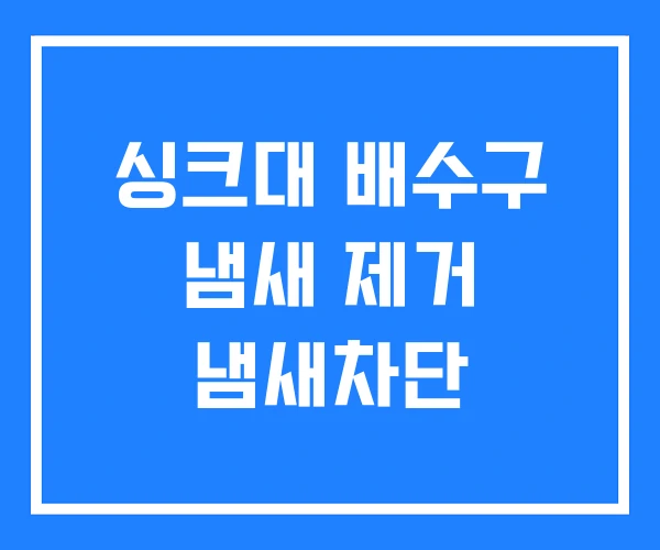 싱크대 배수구 냄새 제거 냄새차단 싱크대 배수구 냄새 제거 냄새차단