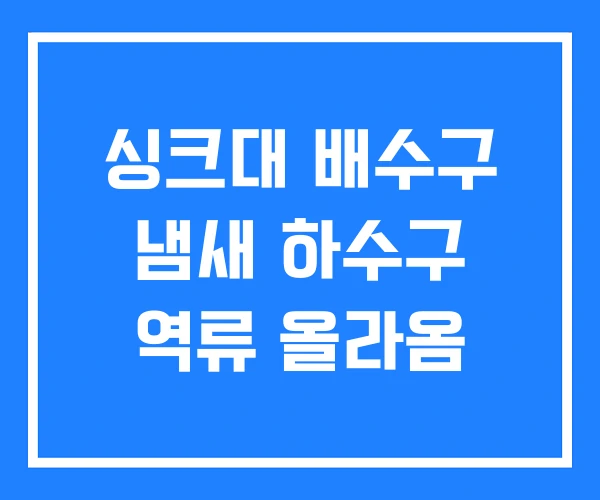 싱크대 배수구 냄새 하수구 역류 올라옴 싱크대 배수구 냄새 하수구 역류 올라옴