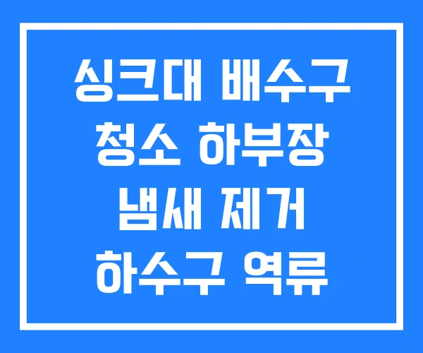 싱크대 배수구 청소 하부장 냄새 제거 하수구 역류
