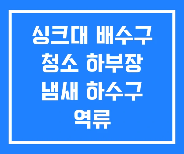 싱크대 배수구 청소 하부장 냄새 하수구 역류 싱크대 배수구 청소 하부장 냄새 하수구 역류