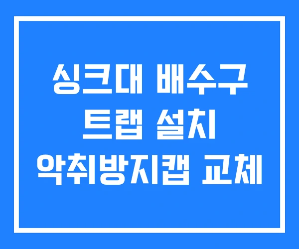 싱크대 배수구 트랩 설치 악취방지캡 교체 싱크대 배수구 트랩 설치 악취방지캡 교체