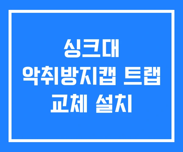 싱크대 악취방지캡 트랩 교체 설치 싱크대 악취방지캡 트랩 교체 설치