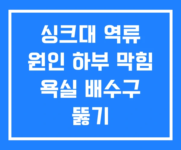싱크대 역류 원인 하부 막힘 욕실 배수구 뚫기 싱크대 역류 원인 하부 막힘 욕실 배수구 뚫기