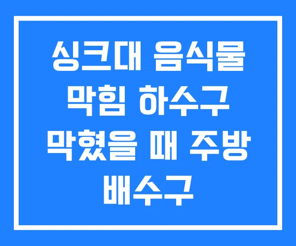 싱크대 음식물 막힘 하수구 막혔을 때 주방 배수구