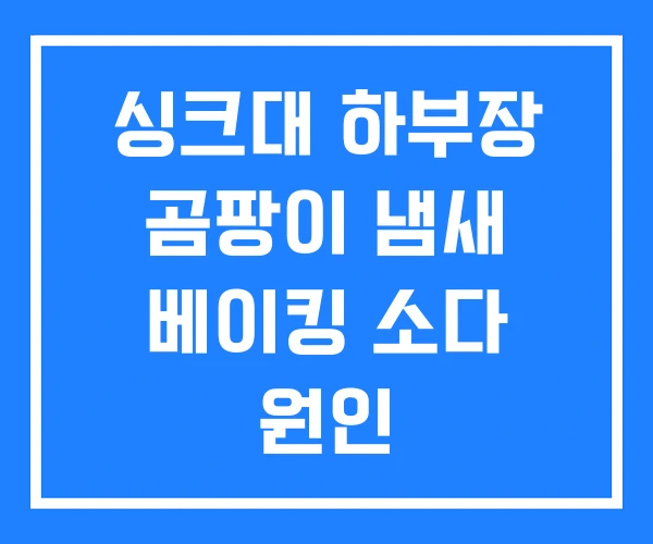 싱크대 하부장 곰팡이 냄새 베이킹 소다 원인