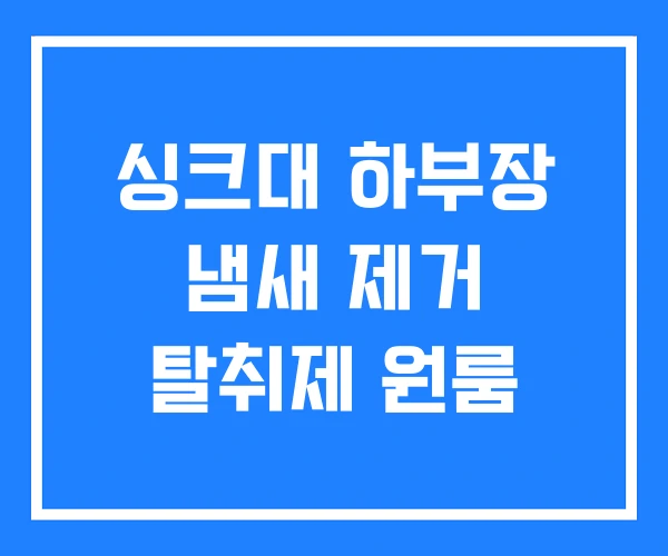 싱크대 하부장 냄새 제거 탈취제 원룸 싱크대 하부장 냄새 제거 탈취제 원룸