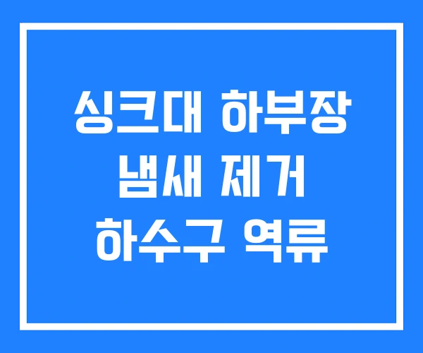 싱크대 하부장 냄새 제거 하수구 역류 싱크대 하부장 냄새 제거 하수구 역류
