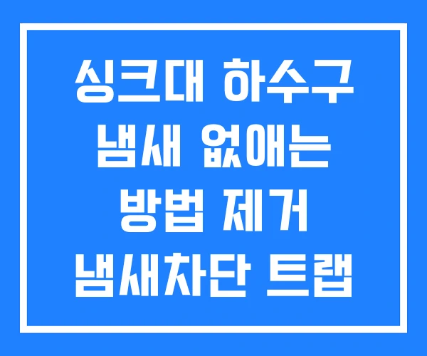 싱크대 하수구 냄새 없애는 방법 제거 냄새차단 트랩