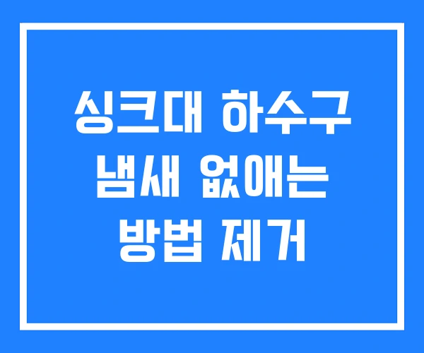 싱크대 하수구 냄새 없애는 방법 제거 싱크대 하수구 냄새 없애는 방법 제거