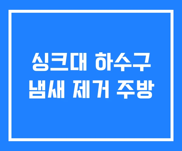 싱크대 하수구 냄새 제거 주방 싱크대 하수구 냄새 제거 주방
