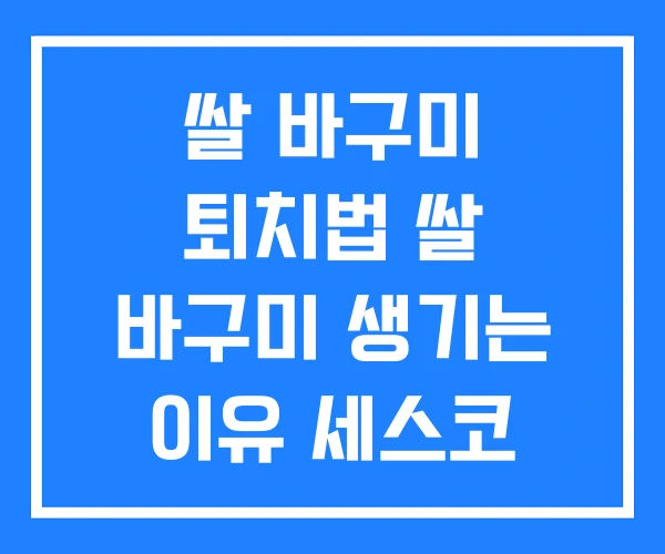 쌀 바구미 퇴치법 쌀 바구미 생기는 이유 세스코