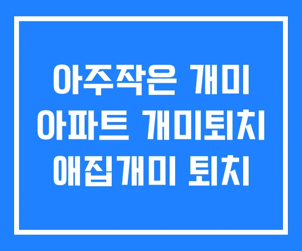 아주작은 개미 아파트 개미퇴치 애집개미 퇴치 아주작은 개미 아파트 개미퇴치 애집개미 퇴치