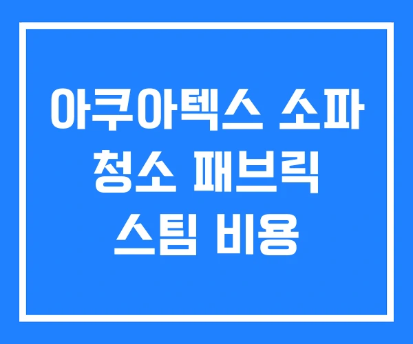 아쿠아텍스 소파 청소 패브릭 스팀 비용 아쿠아텍스 소파 청소 패브릭 스팀 비용