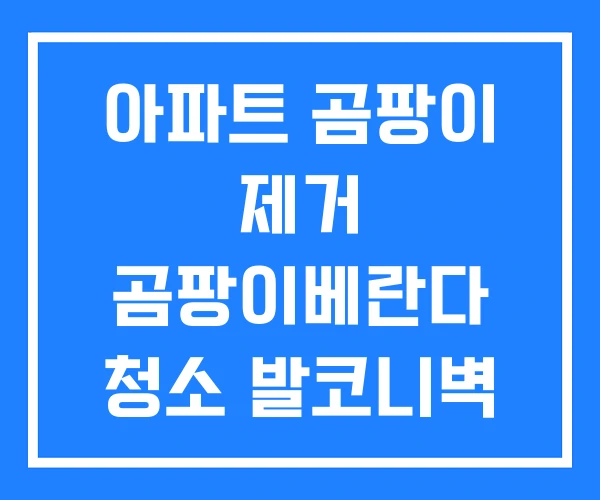 아파트 곰팡이 제거 곰팡이베란다 청소 발코니벽