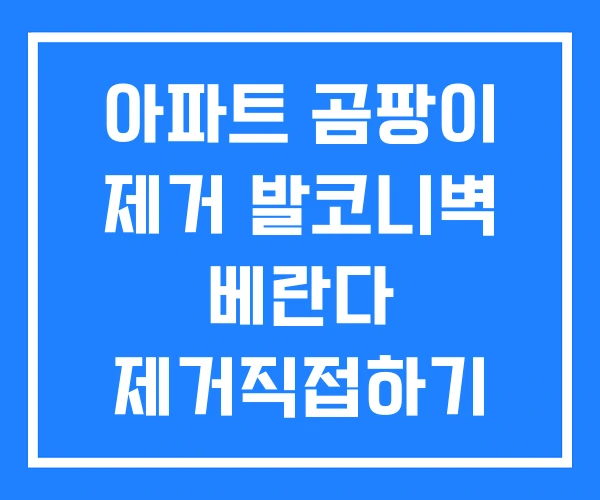 아파트 곰팡이 제거 발코니벽 베란다 제거직접하기