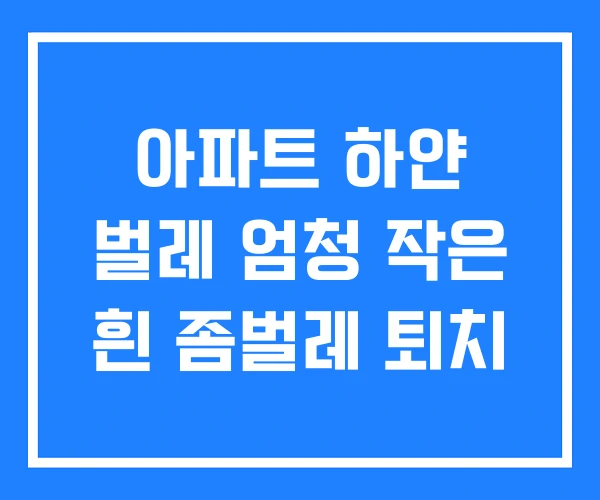 아파트 하얀 벌레 엄청 작은 흰 좀벌레 퇴치 아파트 하얀 벌레 엄청 작은 흰 좀벌레 퇴치