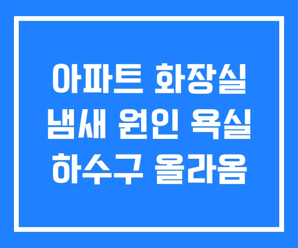아파트 화장실 냄새 원인 욕실 하수구 올라옴