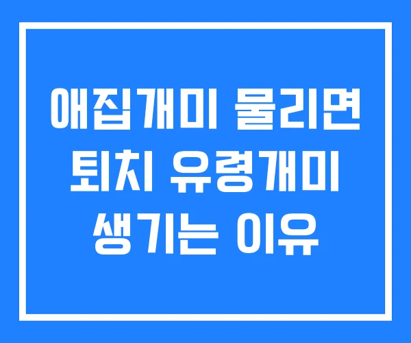애집개미 물리면 퇴치 유령개미 생기는 이유 애집개미 물리면 퇴치 유령개미 생기는 이유