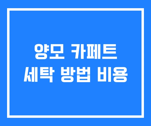 양모 카페트 세탁 방법 비용 양모 카페트 세탁 방법 비용