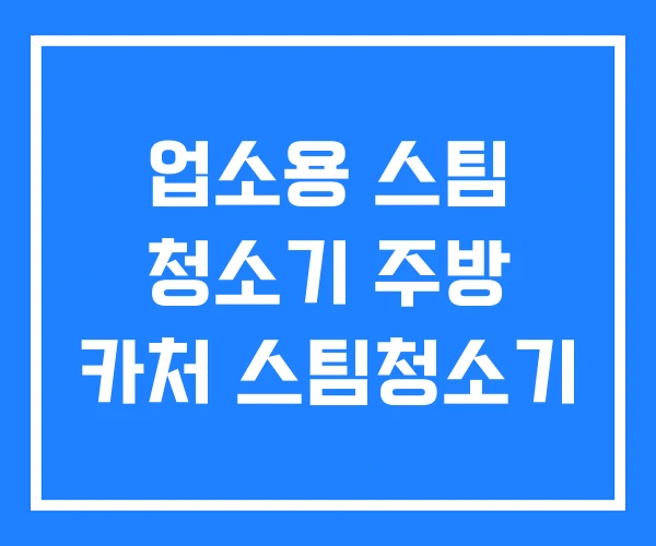 업소용 스팀 청소기 주방 카처 스팀청소기 업소용 스팀 청소기 주방 카처 스팀청소기