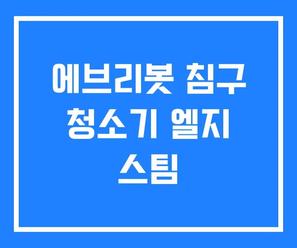 에브리봇 침구 청소기 엘지 스팀