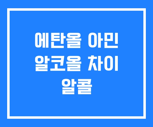 에탄올 아민 알코올 차이 알콜